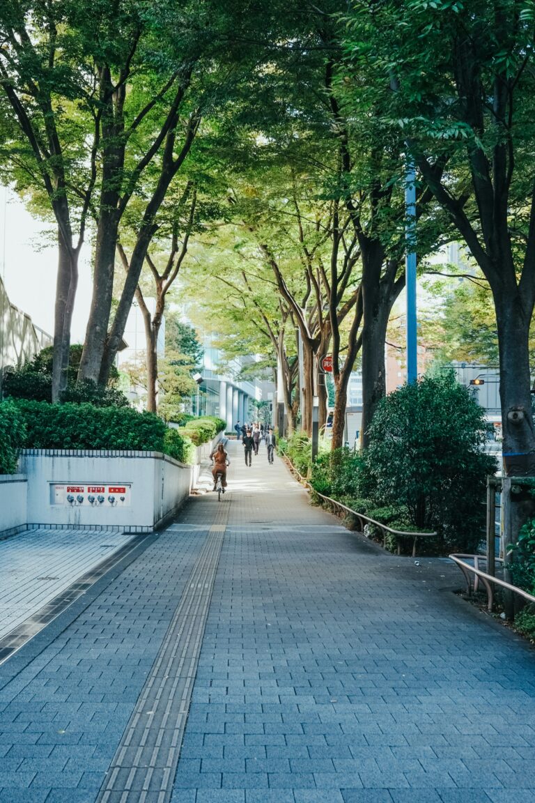 유니타스 일본어학교